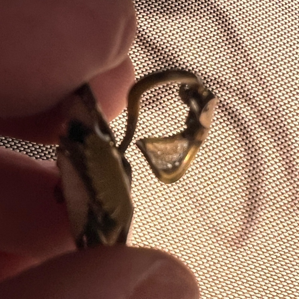 Antique enamel floral screwback earrings - Picture 6 of 12